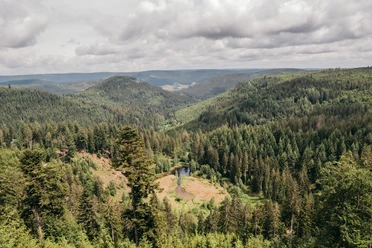 Blick auf den Ellbachsee von der Aussichtsplattform Ellbachseeblick