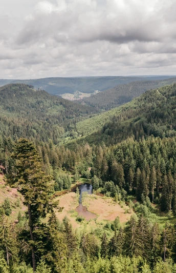 Blick auf den Ellbachsee von der Aussichtsplattform Ellbachseeblick