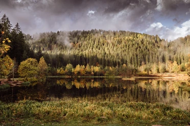 Sankenbachsee