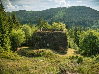 Burgruine Tannenfels