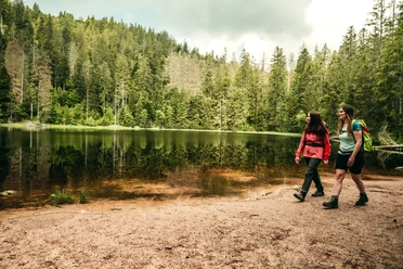 Wildsee im Nationalpark Schwarzwald