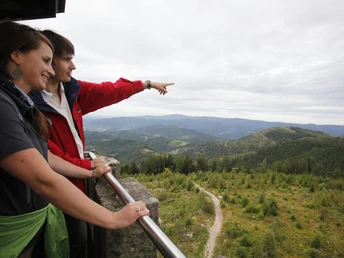 Aussicht vom Moosturm