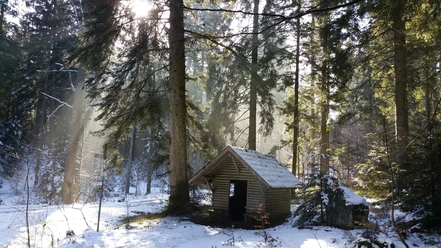 Die Sauteichhütte