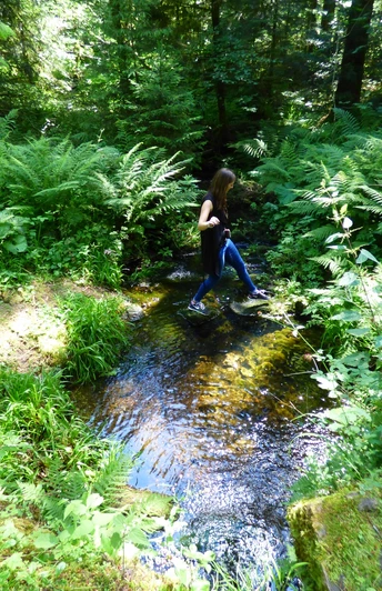 Das Lauterbächle in Höhe Sauteichhütte