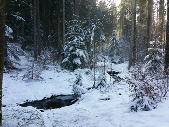 Das Lauterbächle im Winter