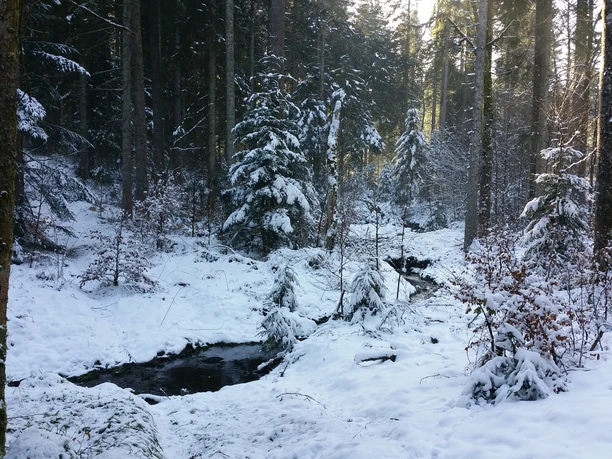 Das Lauterbächle im Winter