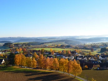 Panoramablick vom Vogteiturm