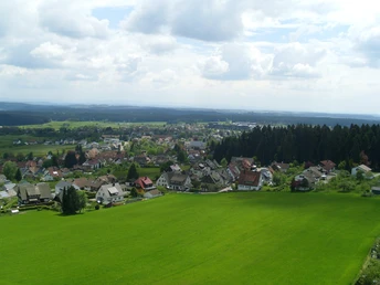 Ausblick vom Vogteiturm über Lossburg