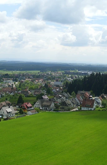 Ausblick vom Vogteiturm über Lossburg