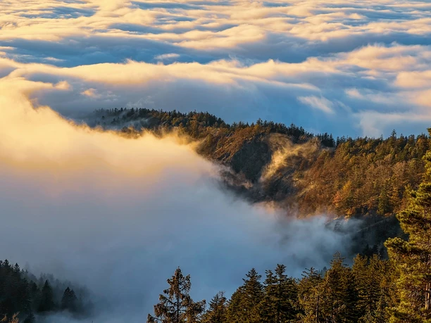 Karlsruher Grat von oben im Nebel