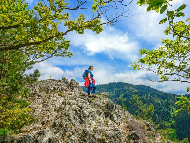 Wanderer auf dem Karlsruher Grat