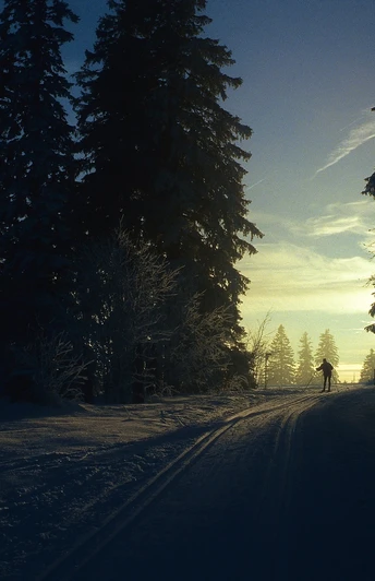 Nachtloipe in den frühen Morgenstunden