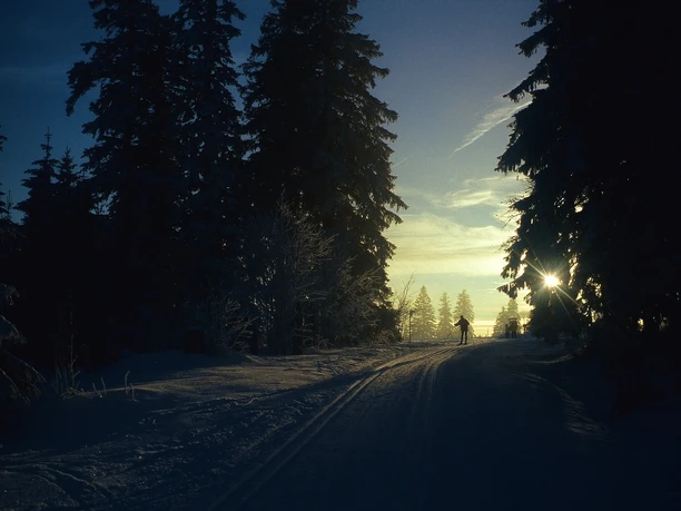 Nachtloipe in den frühen Morgenstunden