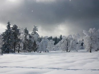 verschneite Landschaft