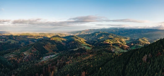 Ausblick auf die herbstlich vielfältige Nationalparkregion Schwarzwald
