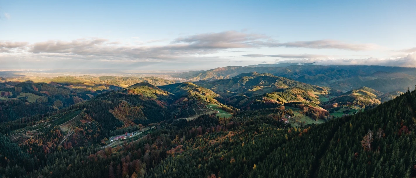 Ausblick auf die herbstlich vielfältige Nationalparkregion Schwarzwald