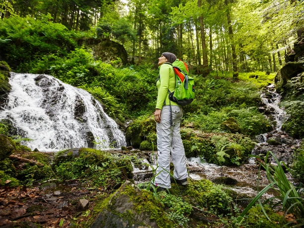 Rast am Holchenwasserfall