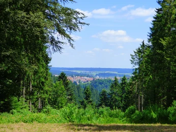 Blick von der Forstmeister-Preu-Hütte nach Freudenstadt