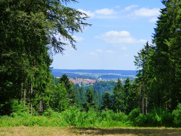Blick von der Forstmeister-Preu-Hütte nach Freudenstadt