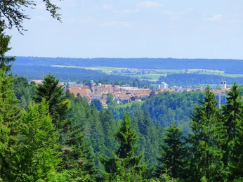 traumhafter Blick nach Freudenstadt