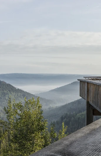 Ellbachseeblick Kniebis