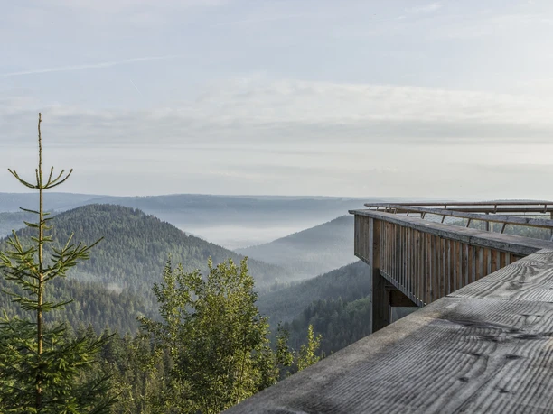 Ellbachseeblick Kniebis