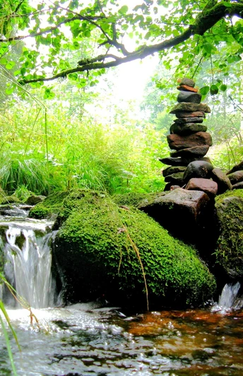 Der Forbach - Klostersteig Kniebis