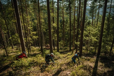 Schönblick-Trail