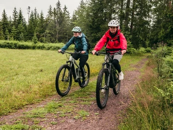 Huznebacher Seeblick