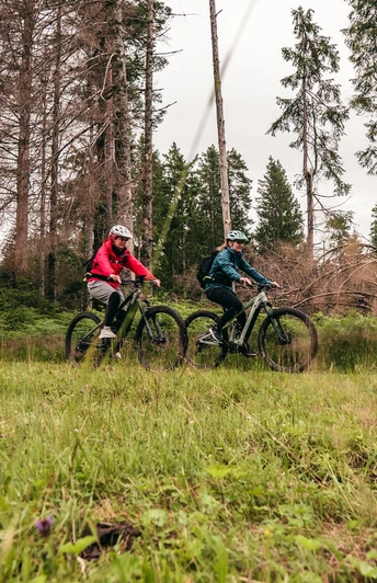 Huzenbacher Seeblick