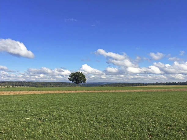 Aussicht Richtung Simmersfeld