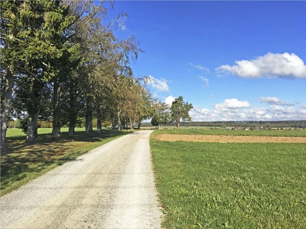 Wanderweg