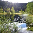 Der idyllische Ellbachsee