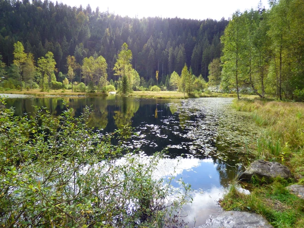 Der idyllische Ellbachsee