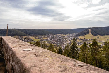 Ausblick vom Rinkenturm auf Baiersbronn