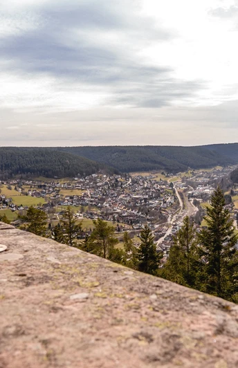 Ausblick vom Rinkenturm auf Baiersbronn