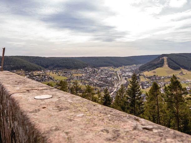 Ausblick vom Rinkenturm auf Baiersbronn