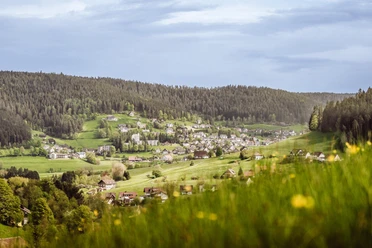 Blick auf Tonbach