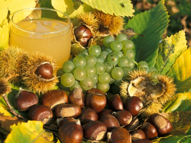 Kastanie mit neuem Wein