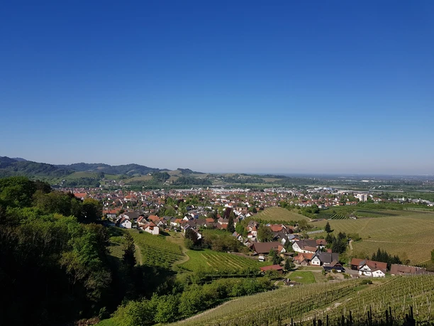 Aussicht aus Wolfhag über Oberkirch