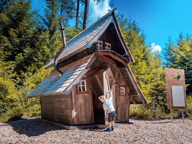 Ein kleiner Junge hat die Tür eines kleinen Holzhauses geöffnet und schaut hinein