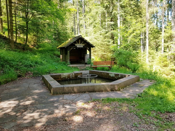 Wassertretanlage Löwenbrunnen am Teuchelweg