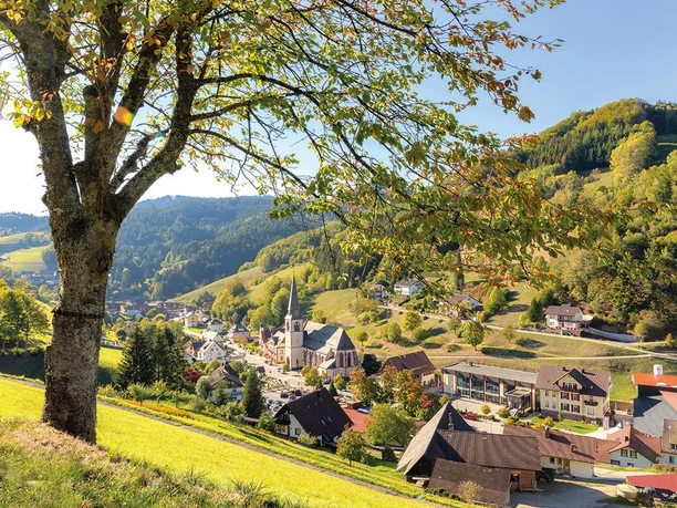 Blick auf Bad Griesbach