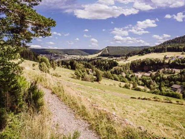 Sommerseite Pfad mit Aussicht