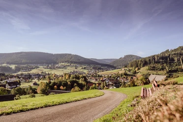 Mitteltal
