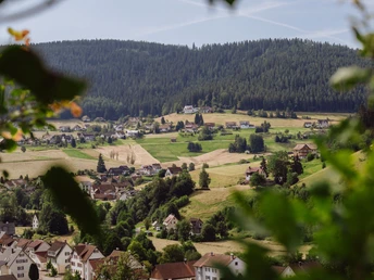 Blick auf die Winterseite in Mitteltal