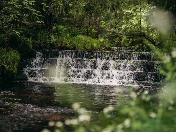 Der Ellbach im Baiersbronner Ortsteil Mitteltal