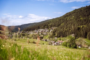 Tonbach