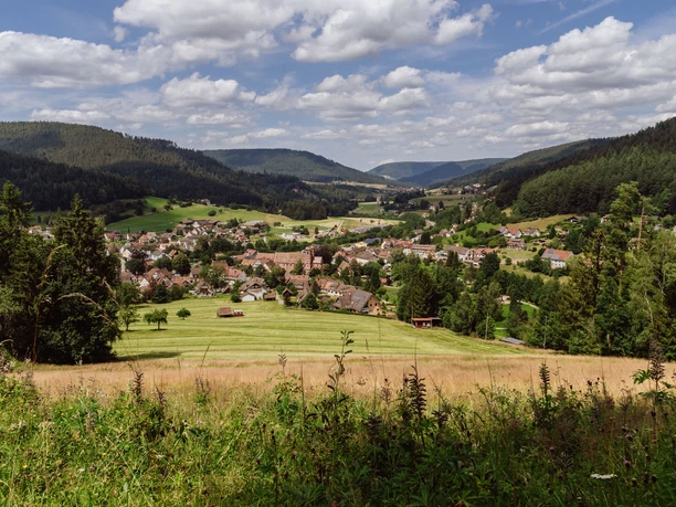 Blick von der Schnewittchenhütte auf Klosterreichenbach