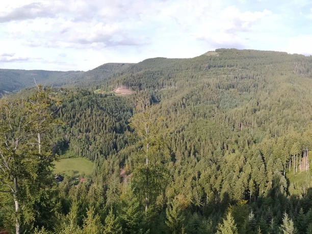 Ausblick vom Haberer Turm